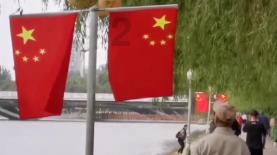 逗小猴开心系列193
