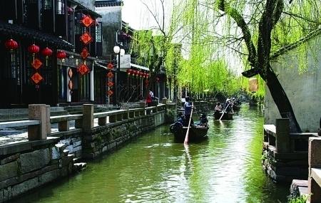 雨后盛放