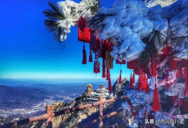 地球守护者
